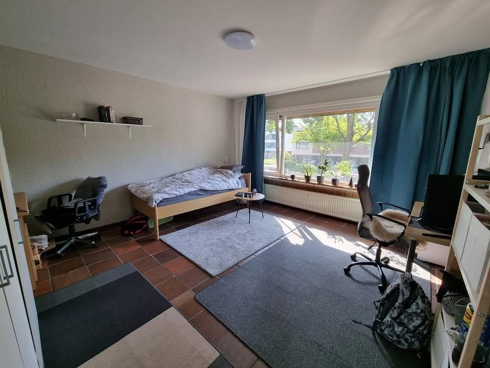 show all photos of Hasselobrink