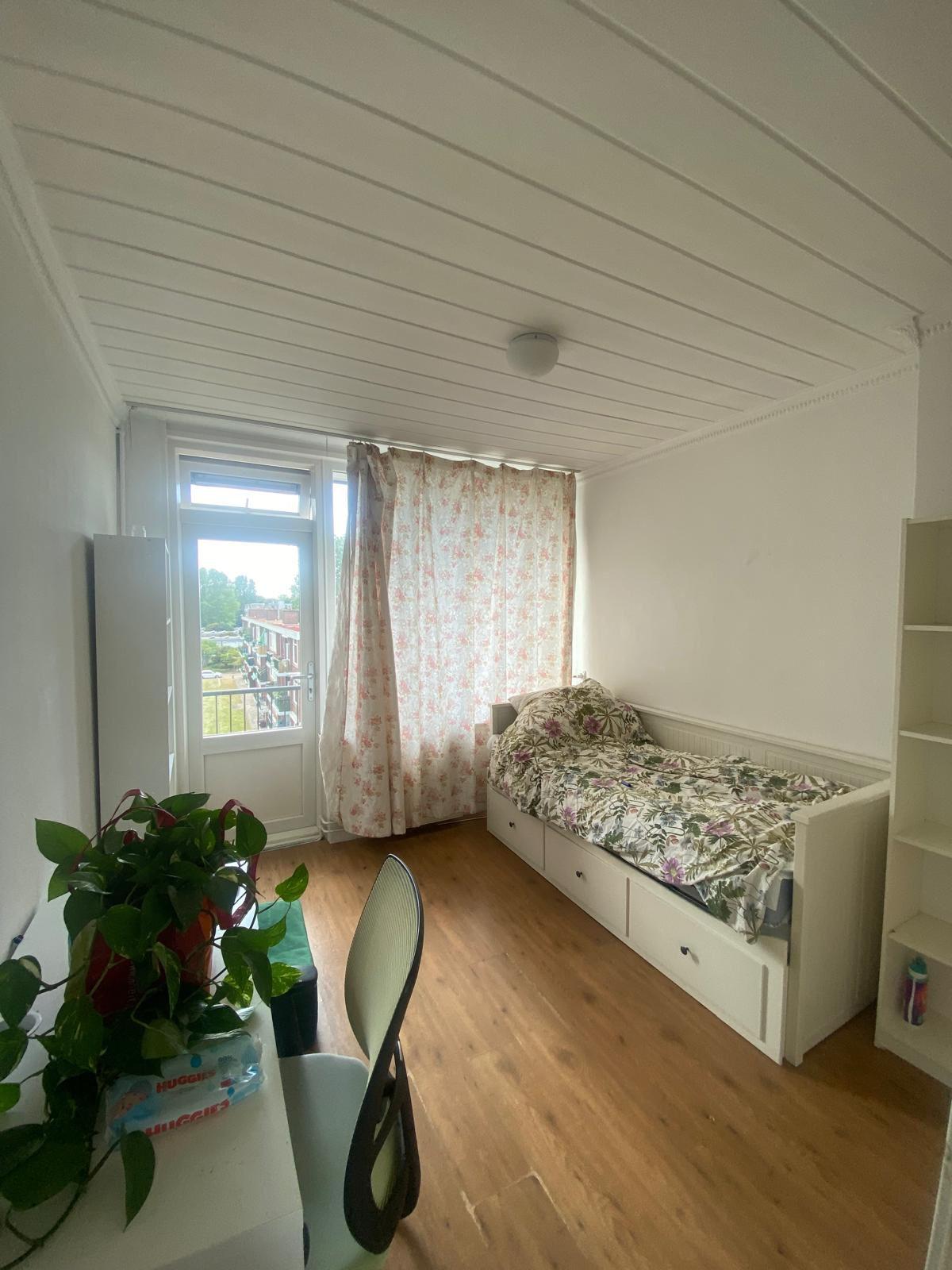 show all photos of Bachstraat