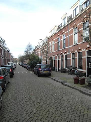 show all photos of Zandhofsestraat