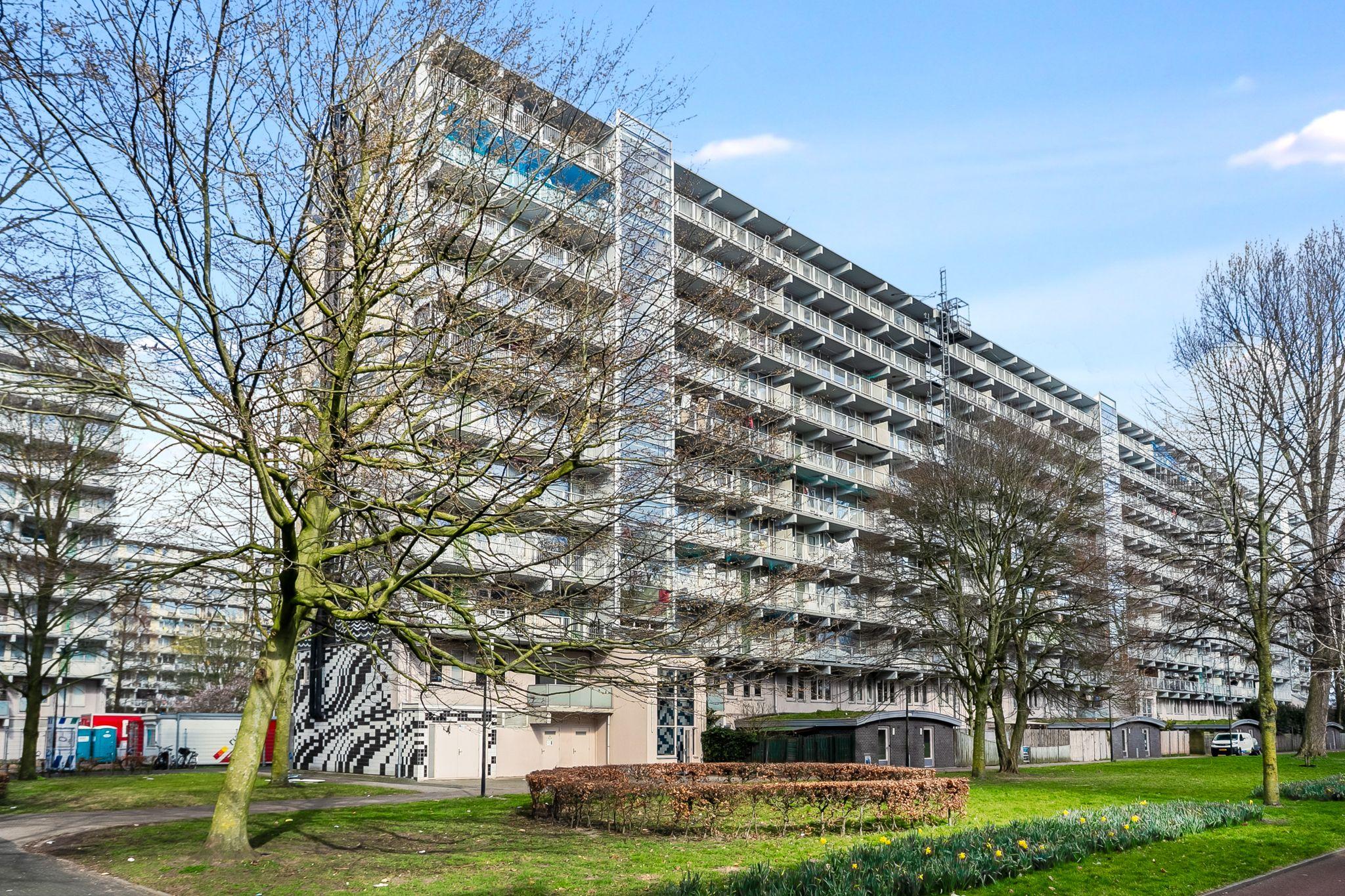 show all photos of Haag en Veld