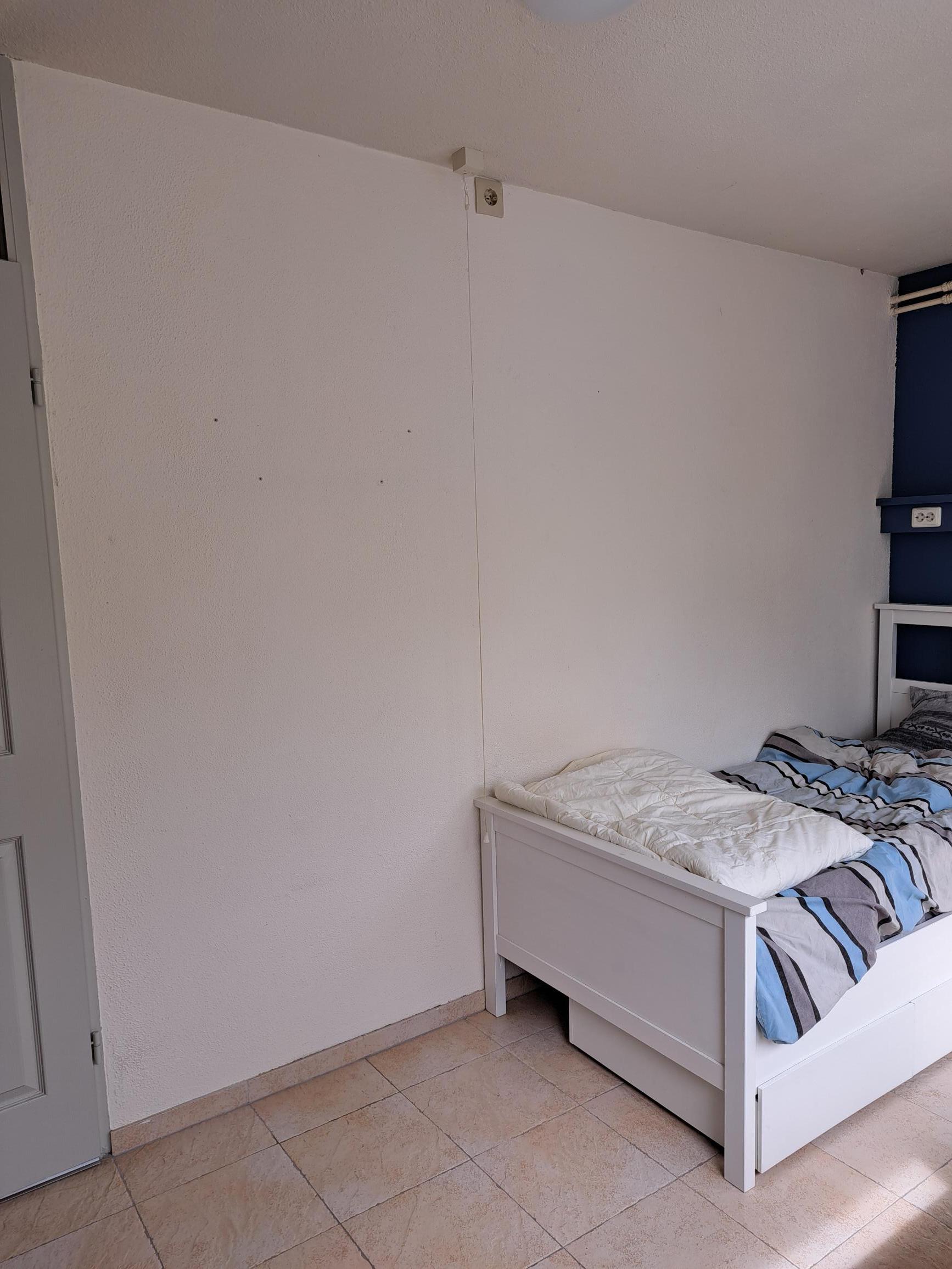 show all photos of Roer