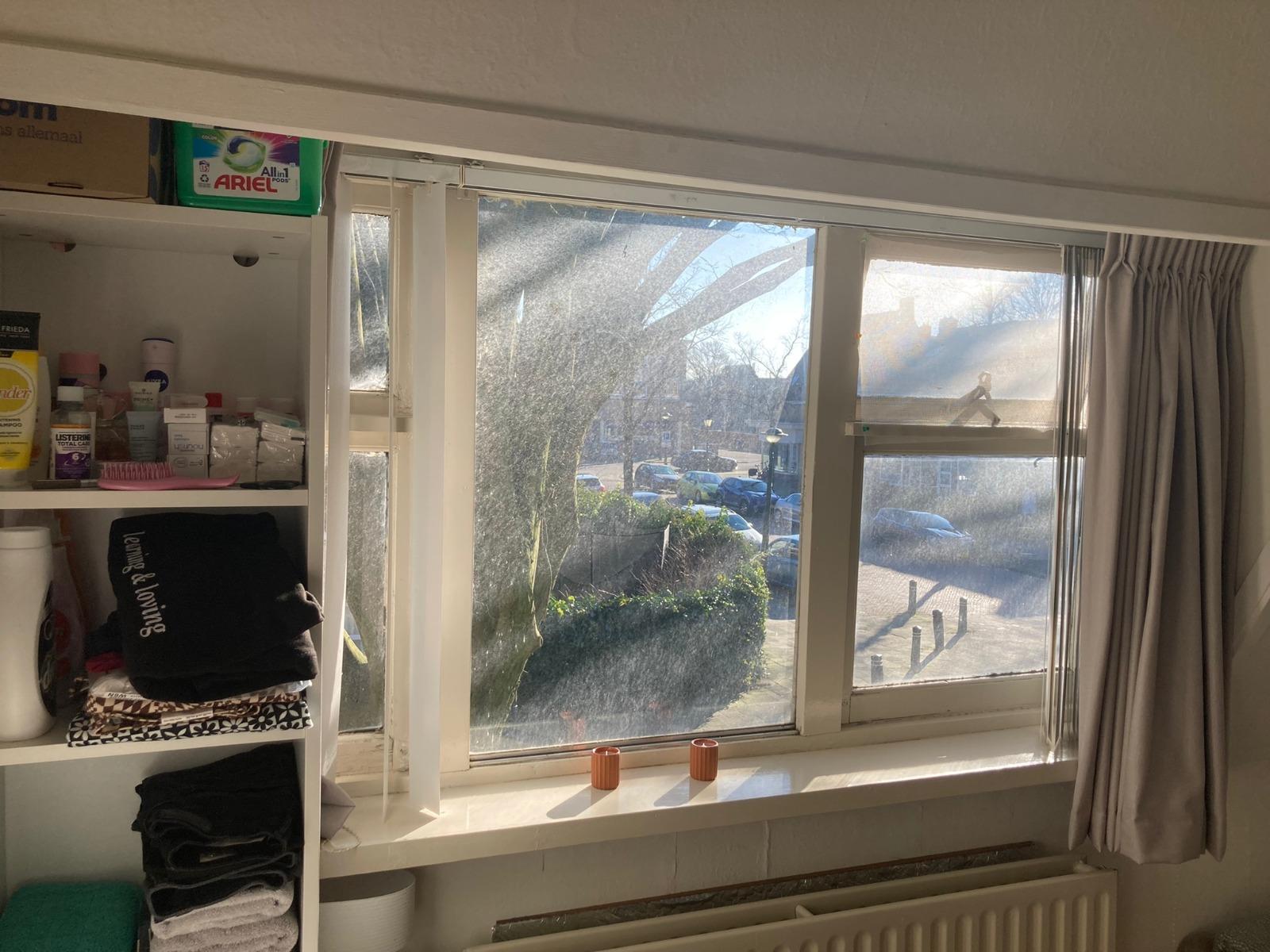 show all photos of Beethovenstraat