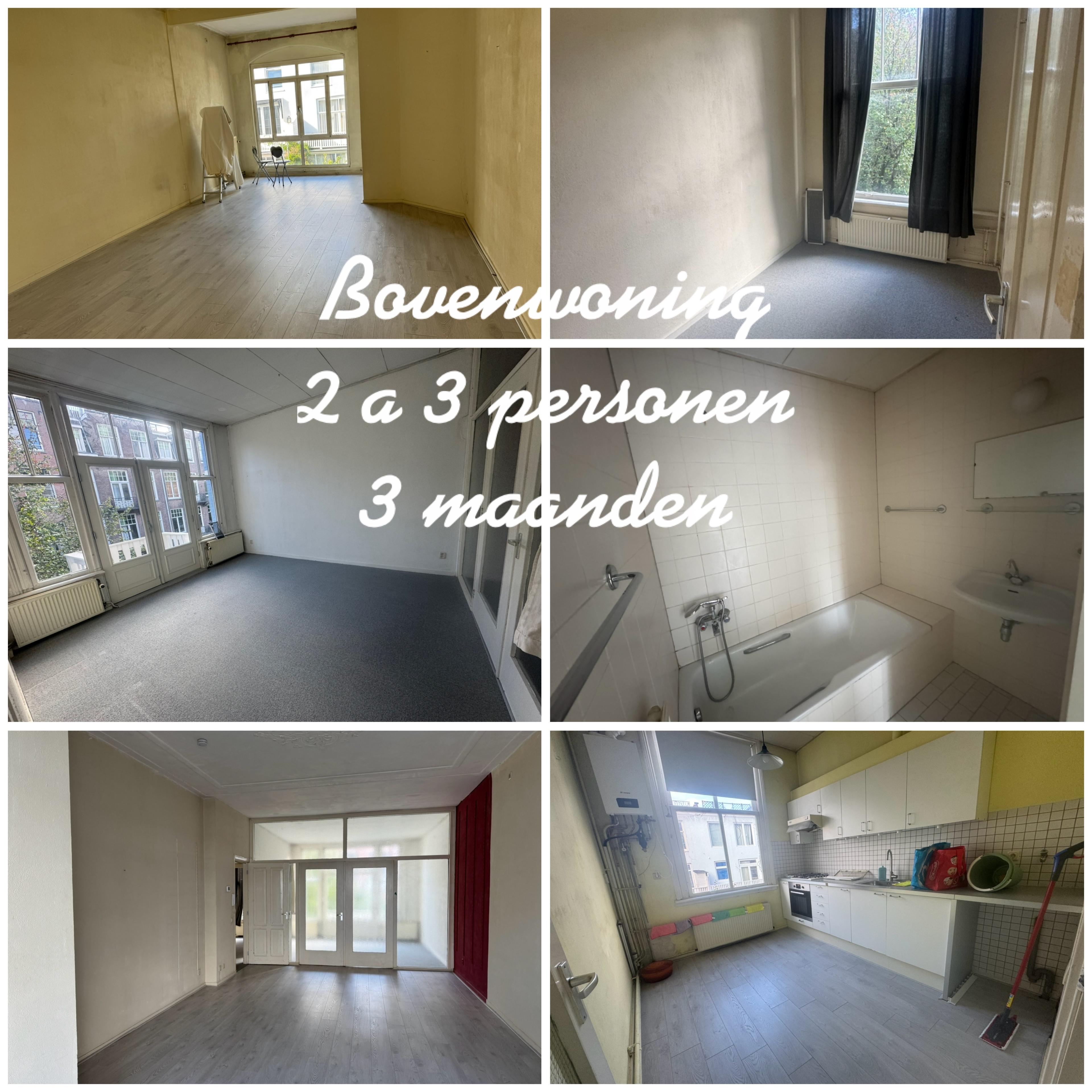 show all photos of Palestrinastraat