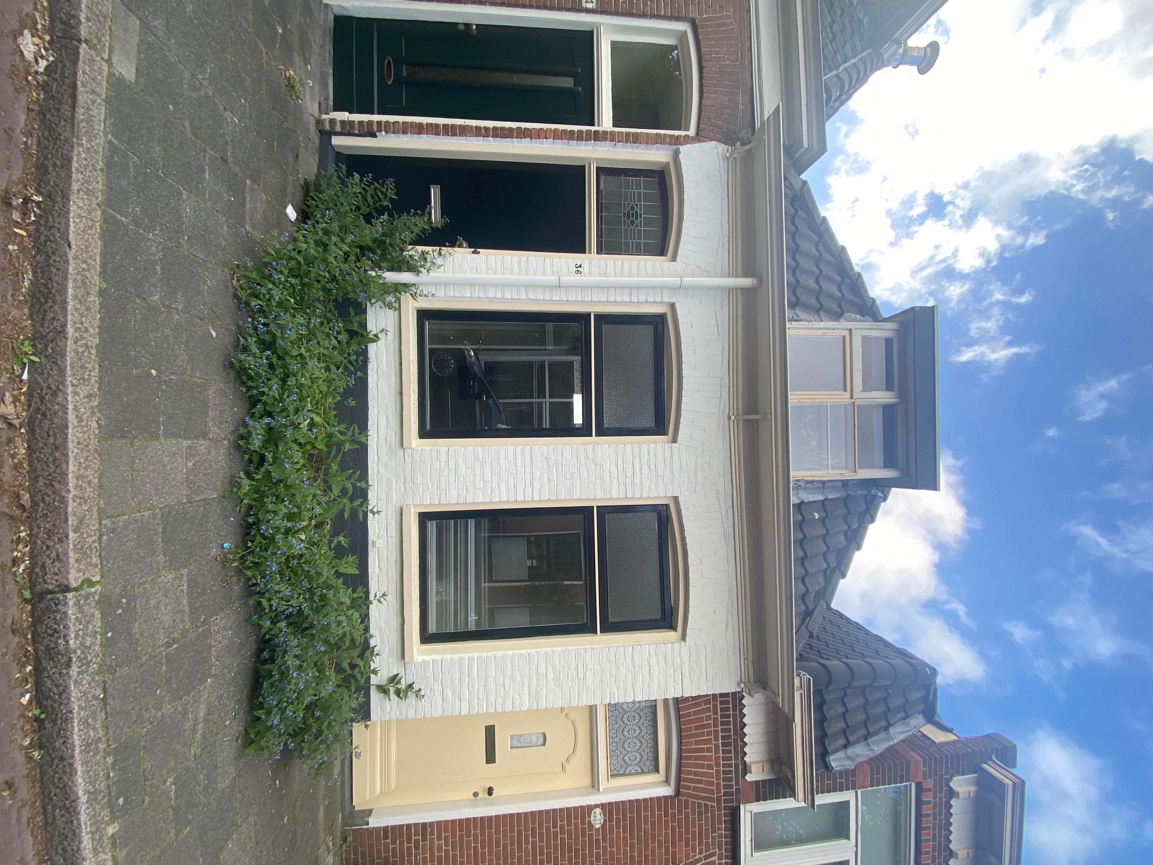show all photos of Mauritsdwarsstraat