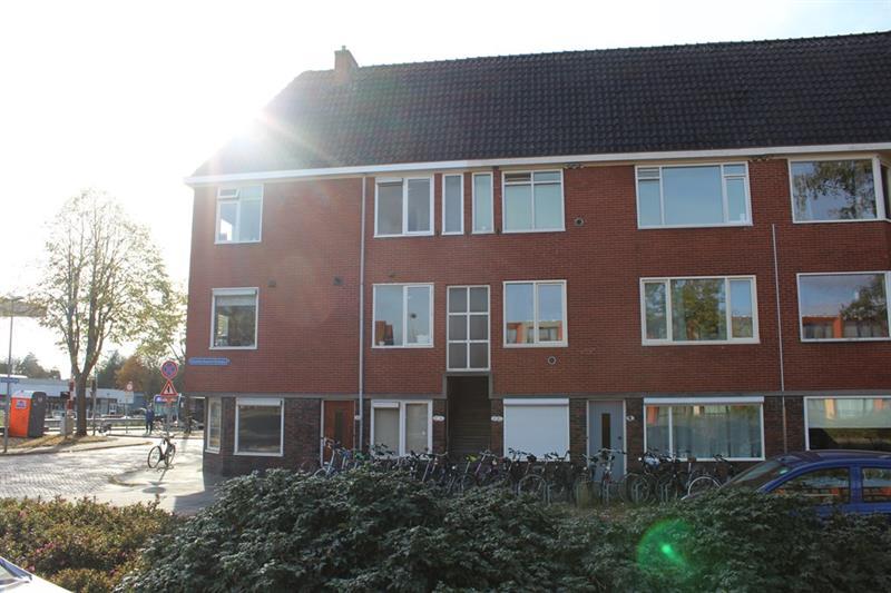 show all photos of Oosterhamriklaan