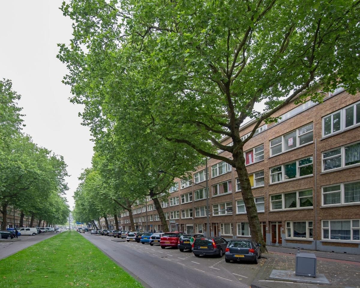 show all photos of Dordtselaan