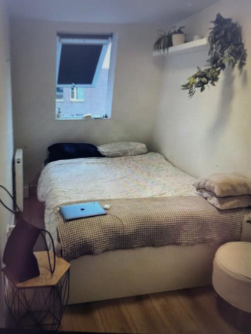 show all photos of Sumatrastraat