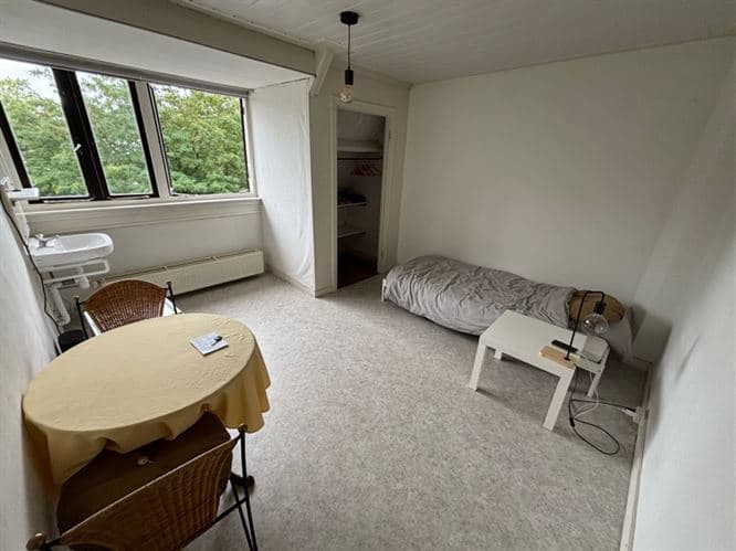 show all photos of Johan de Wittlaan