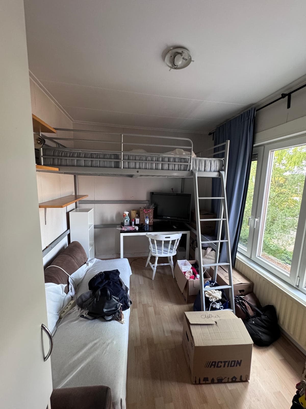 show all photos of Petrus Campersingel