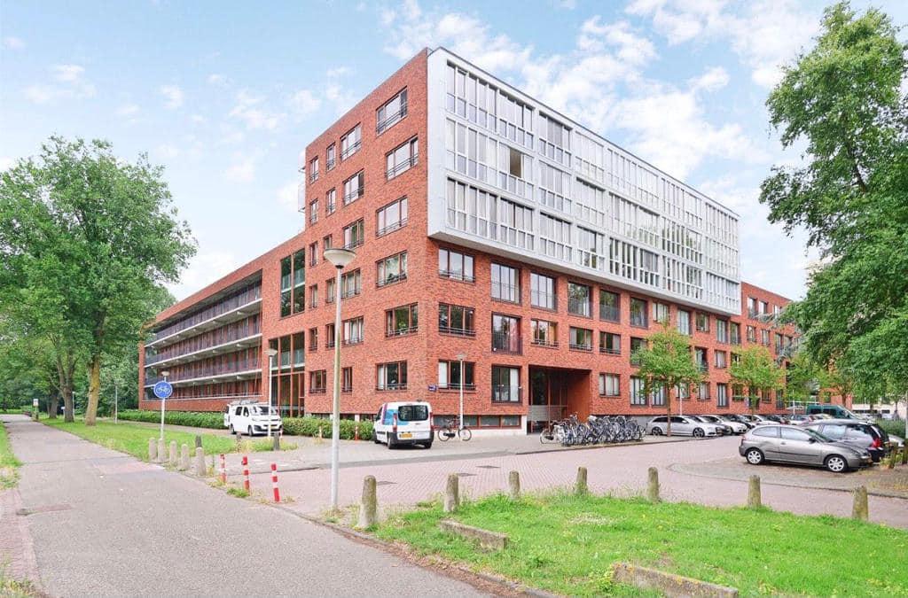 show all photos of Oeverpad