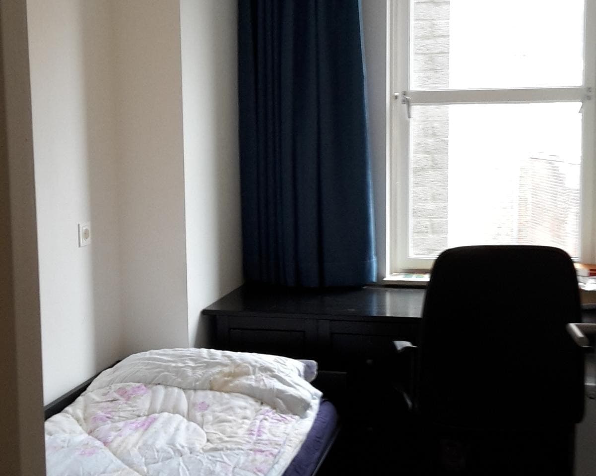 show all photos of 't Krom