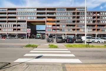 show all photos of Pieter Calandlaan