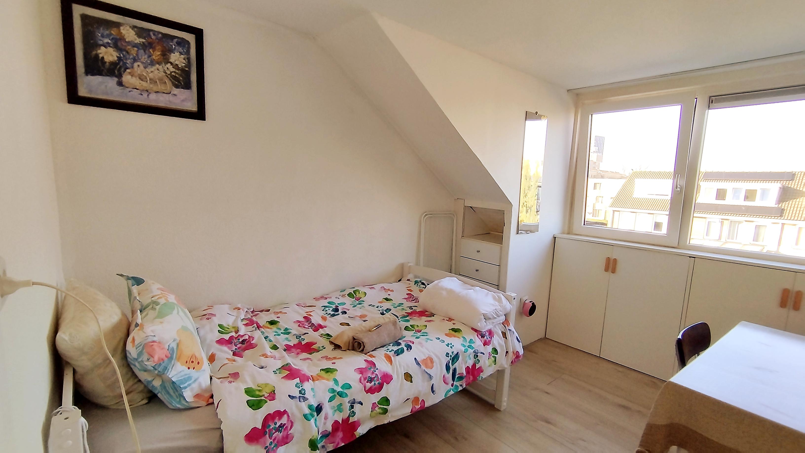 show all photos of Piet Mondriaanstraat