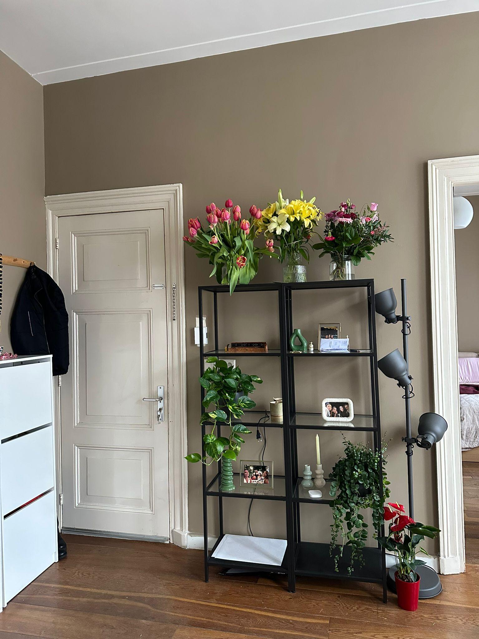 show all photos of Wilhelminastraat