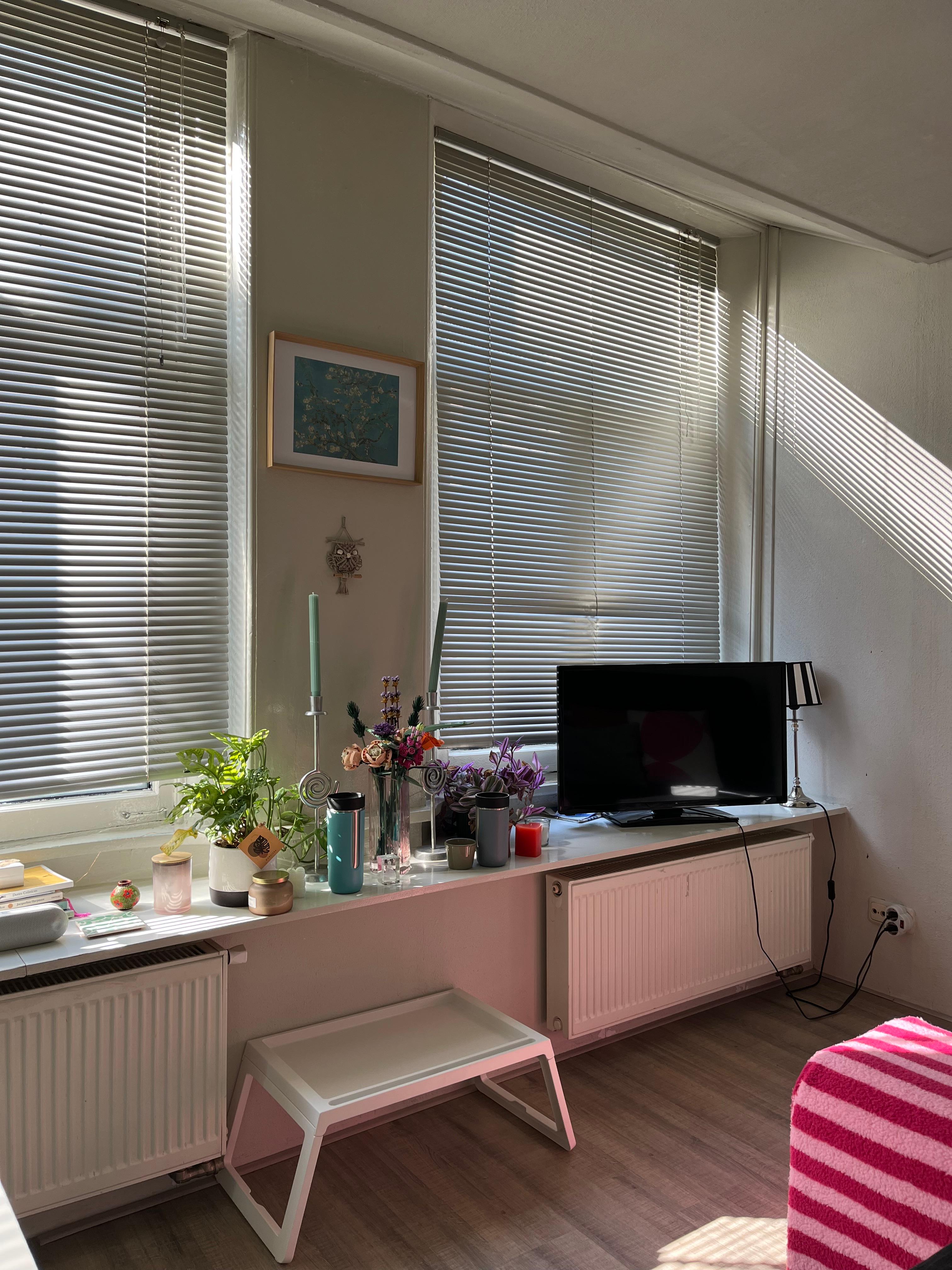 show all photos of Zwanestraat