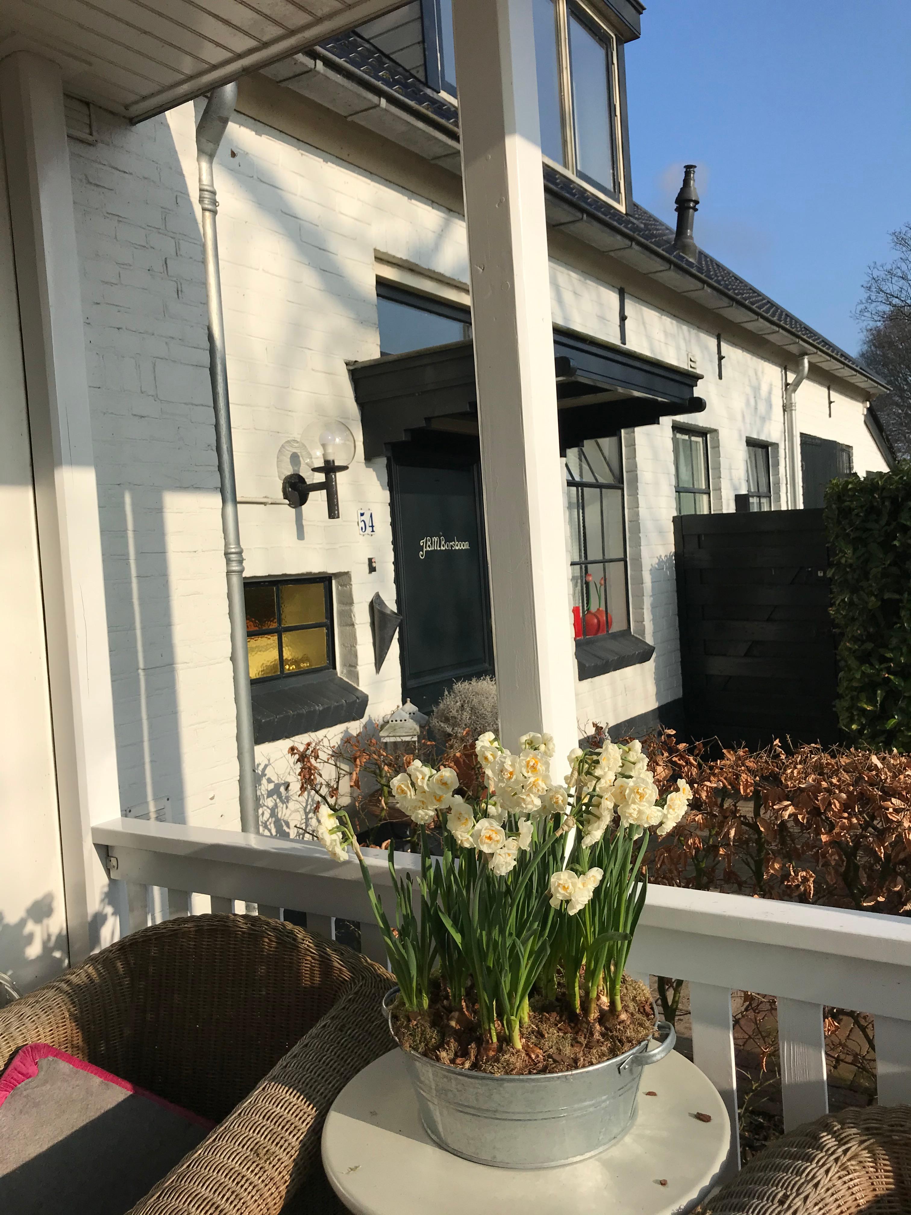 show all photos of Koelmansstraat