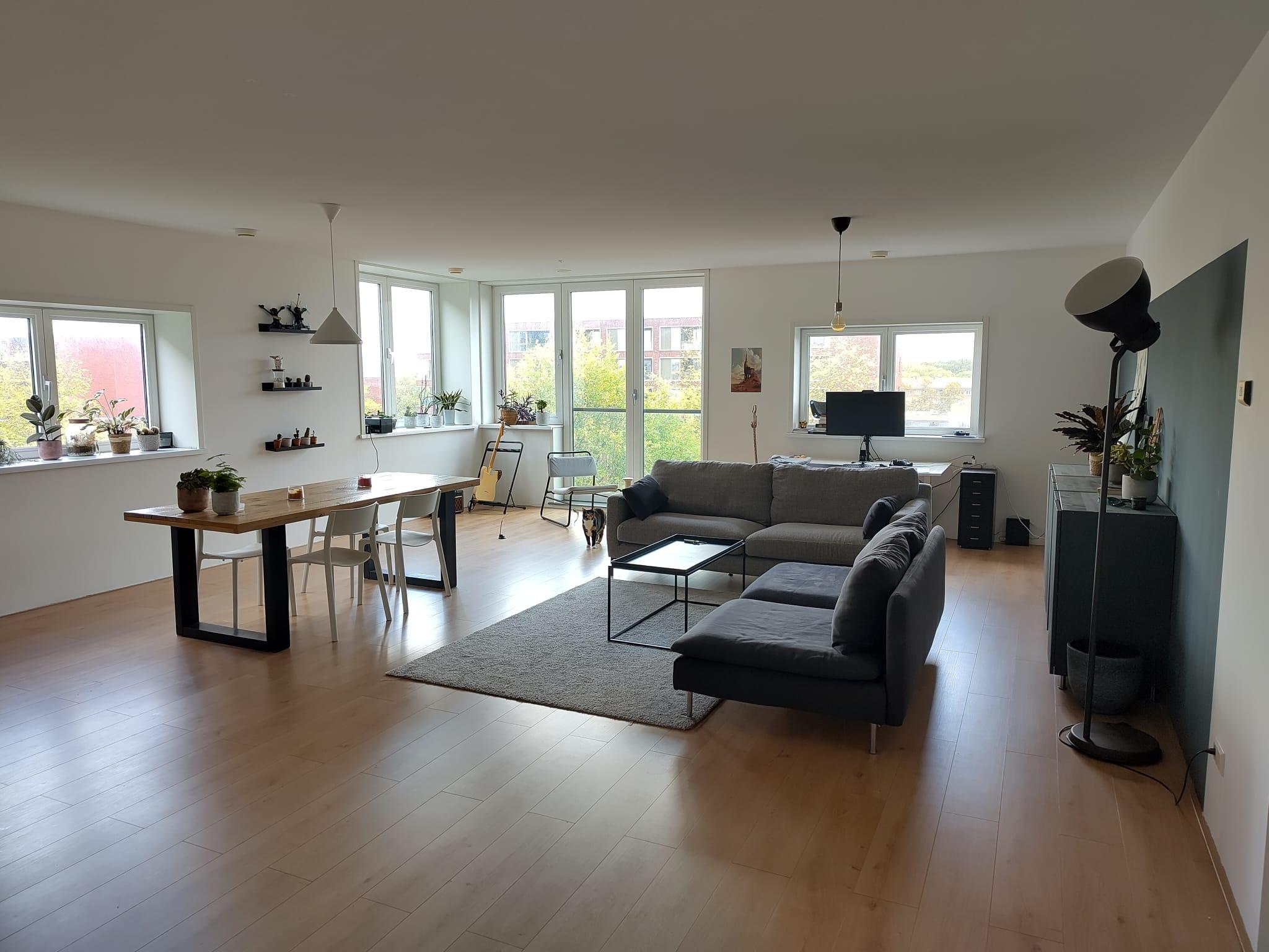 show all photos of IJdoornlaan