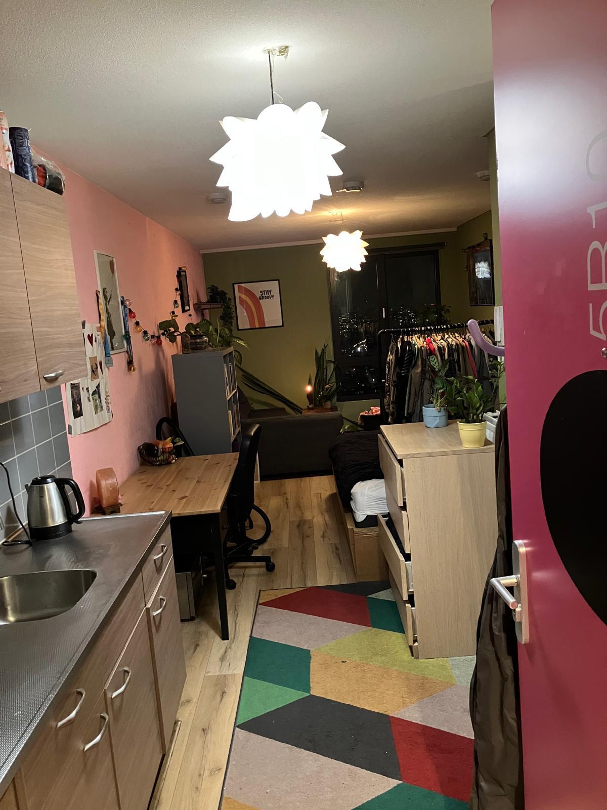 show all photos of Cornelis Lelylaan