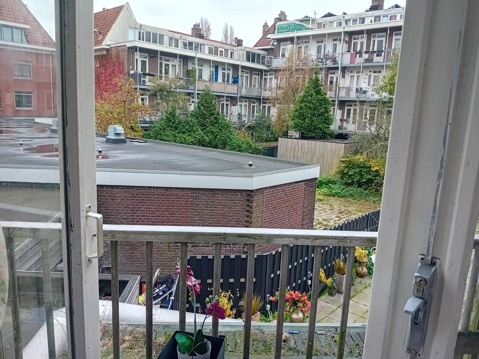 show all photos of Bos en Lommerweg