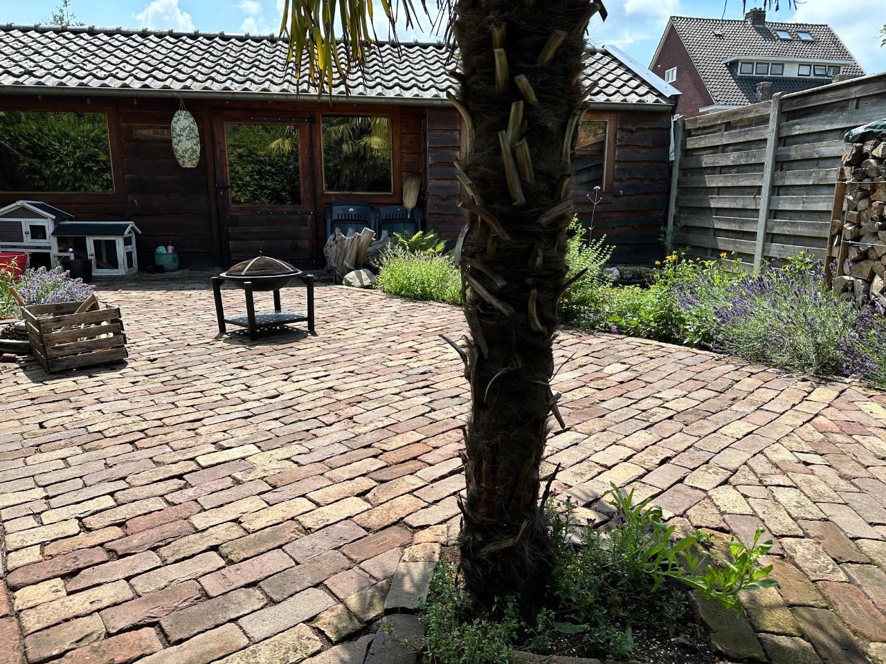 show all photos of Deldenerstraat