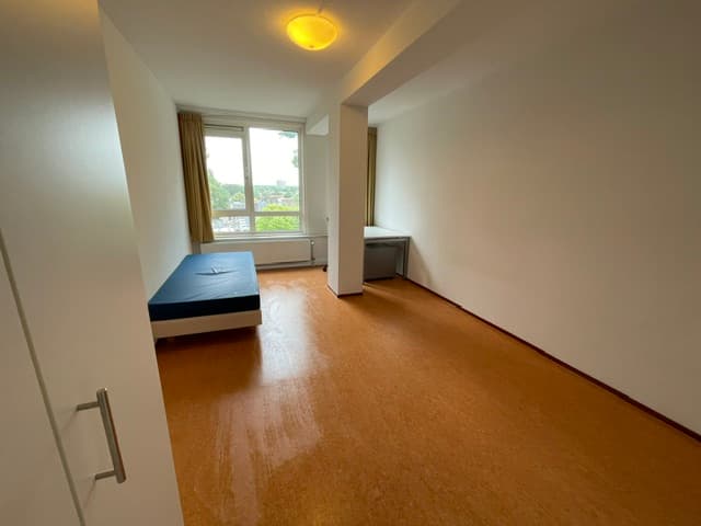 show all photos of Stadsbrink