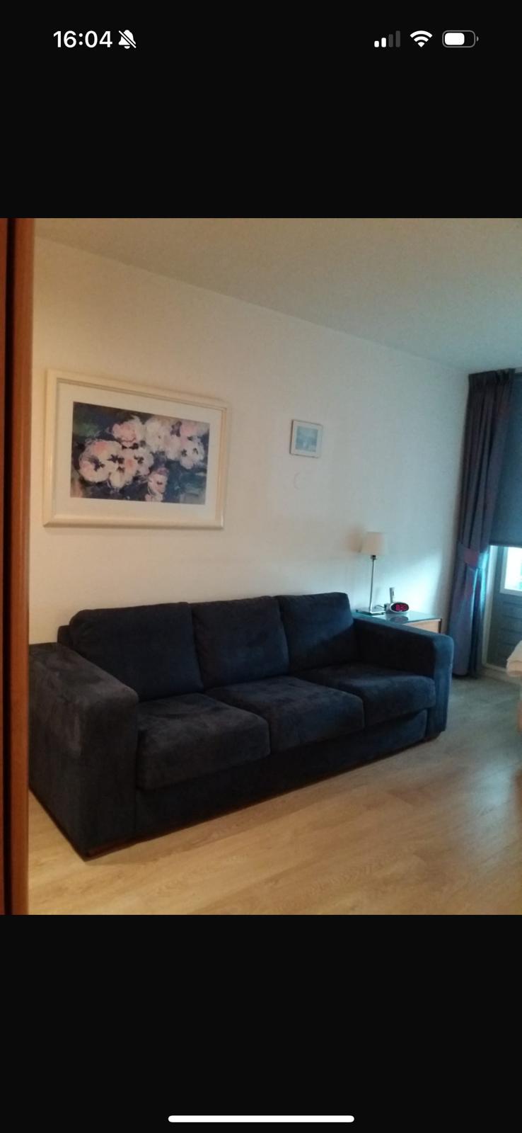 show all photos of Meerkoet