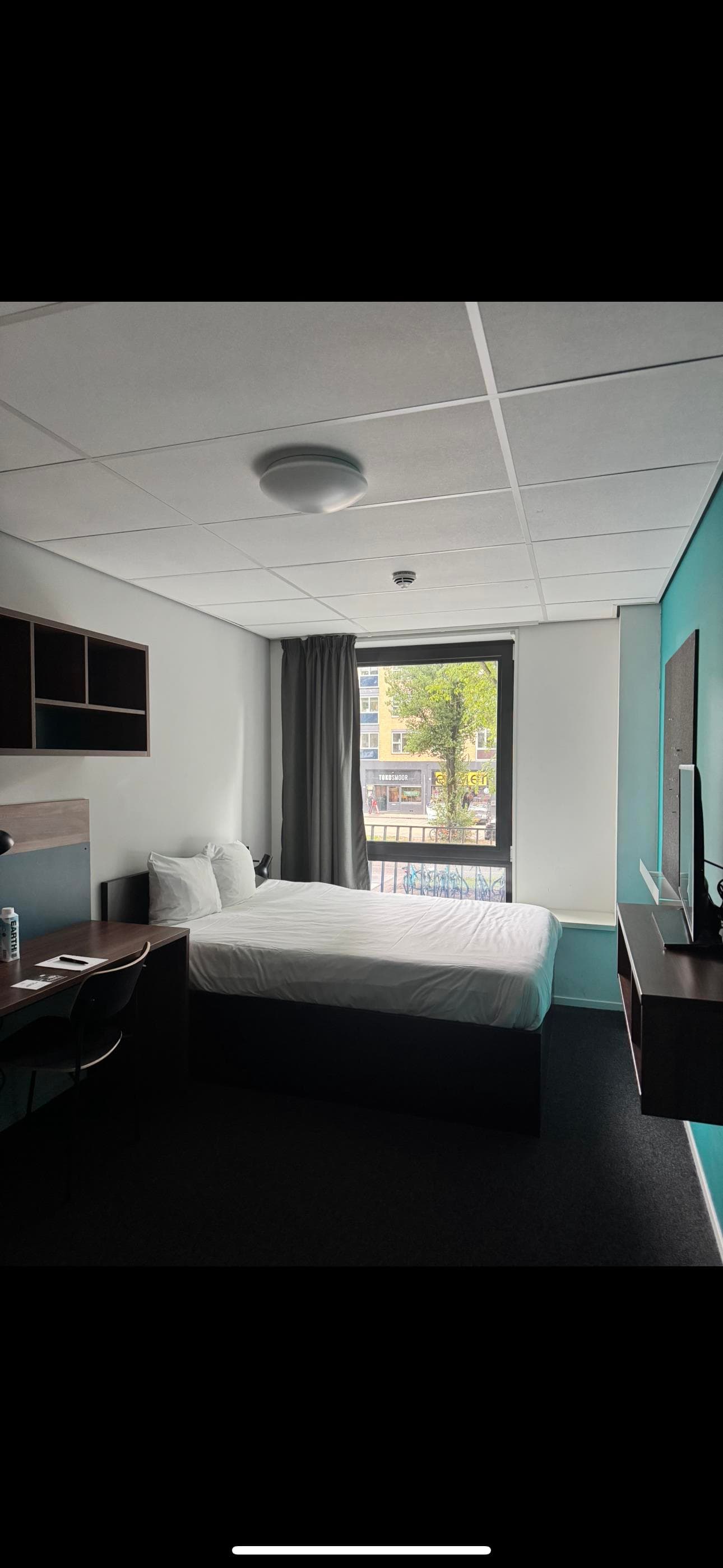 show all photos of Willem Ruyslaan